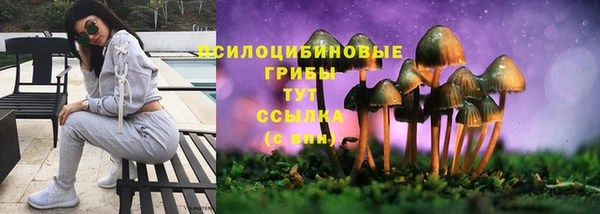 скорость mdpv Инта